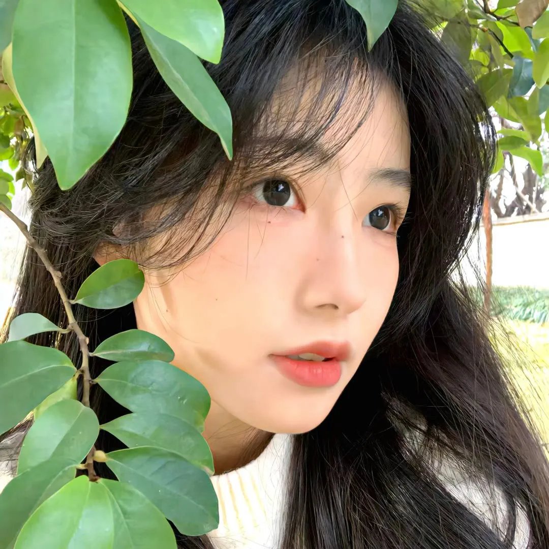 巴黎之花